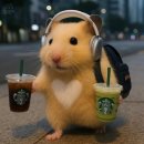 하루꼬지 이미지