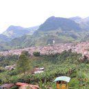 하르딘(Jardin) 이미지