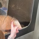 포켓애니멀 | 청주 수암골 데이트 애니멀빌리지