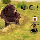 달로아잉