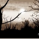 노을빛 풍경 이미지