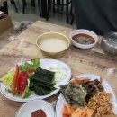 숲속의생옥수수막걸리 | 용정동염소탕맛집 숲속의산양 양궁장에서 산책도하고 완전 맛있음!