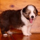 이지스힐 이미지