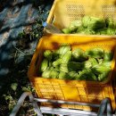 산우농장 이미지