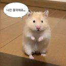 지니쌤과공부하자 | [공지] 부산토익학원ㅣ☁️벨라토익 10월 시간표☁️ㅣYBM 서면센터