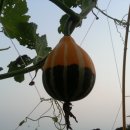 원앙슈퍼 이미지