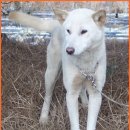 보화1로1 이미지