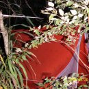 백두모텔 이미지