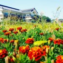 별빛여정펜션 이미지