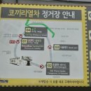 [과천/일상]2025 월드 디제이 페스티벌 과천 대비 2024월디페 작년 후기•꿀팁🔥🔥🔥🔥🔥