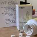 알파플로우 | 소화 및 운동 회복이 필요할땐? 투데이핏 플로우정 (알파CD 브로멜라인) 후기