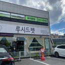 루시드펫 이미지