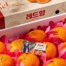 부자농장1 이미지