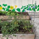 텃밭가꾸기 이미지