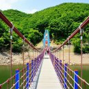 칠갑산약국 Daum카페