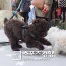 놀자 이미지