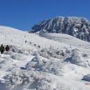 제224차(11-05) 한라산 정기산행 이미지