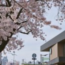 스타벅스군산조촌DT점 이미지