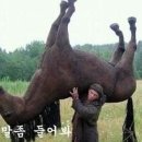 우리조은마트 이미지