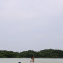 (주)제주여행문화 이미지