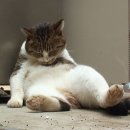 차츰차츰