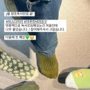 양쟝점 이미지
