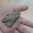 마곡9 나인어린이집 이미지