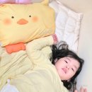 아리랑세탁 | 두돌 아기베개 푹신한 밀로앤개비 유아베개 후기