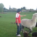 진형목장 이미지