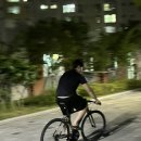 248푸드카페 | EP.08 벌써 후기에 들어선 부산 임산부 27-29주차 일상