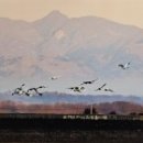 솜리문화회관 이미지