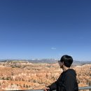 (주)회덕 | 여행으로 미국 서부 여행 다녀왔습니다 ✈️ | 라스베이거스 | ⛰️자이언,브라이스,홀스슈,그랜드캐년 투어 후기