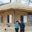 달빛 아리수 이미지