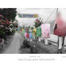 연꽃향기천연염색 이미지