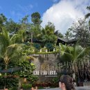 스윙 | 발리 알라스하룸 뜨갈랄랑 크레트야, 발리스윙 후기