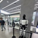테슬라 강남스토어 주니퍼 모델 Y 실물방문 후기/ 주차/내부시트색고민(화이트or검정)