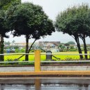 성읍초등학교 이미지