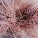 위너스 동물병원 이미지