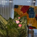 국우초등학교 앞 이미지