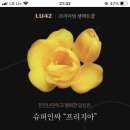 처갓집통닭