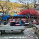 감나무집공할머니민박 이미지