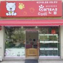 코디애견샵 이미지