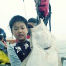 레드피싱호