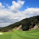 일레븐CC 이미지