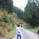 안개 농촌체험 휴양마을 이미지