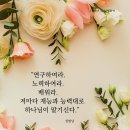 옥토가 이미지