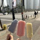 신호등게임랜드 이미지