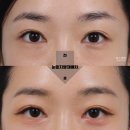 영앤유스