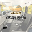애드온제주 | [싱가포르 여행] ‘제주-싱가포르’ 직항 스쿠트항공...내돈내산 탑승 후기 ｜ 제주 직항 국제선...