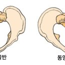 신강한의원 이미지